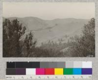 View from the Grizzly Peak Lookout tower east towards San Pablo Ridge showing eucalyptus grove in upper Wildcat Canyon. Sept. 1924