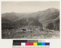 Farmington Flat, head of Farmington Canyon. See photo 8379