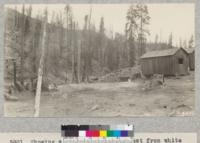 Showing seed trees; looking west from white fir reproduction plot on cut-over lands of Madera Sugar Pine Company. This area was logged in 1922. 1925