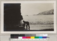 Santa Cruz Island. June 1931. Picture by Pemberton, Los Angeles County Forestry Department