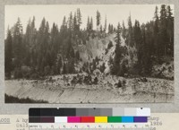 A hydraulic mine wash on Silver Lake, near Camp Califorest. The picture was taken in July, 1926 and shows the vegetation that has occupied the cut and the alluvial fan since the abandonment of hydraulics about 25 years before. The species on the fan include all five of the region, with yellow pine predominating. All are stunted, and judging from one tree pulled up, have very wide reaching and shallow fibrous root system. Compare size of trees with man in the center foreground. 1926