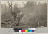 The planting crew eats breakfast after a strenuous night. Santa Cruz Demonstration Forest, February, 1928. Metcalf