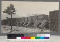 Showing elevated tramways, method of piling and method of storing winter stickers. Weed Lumber Company, Weed, California. June, 1920. E. F