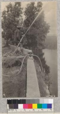 30 gallons per minute with the Pacific pumper from irrigation ditch. Wente farm. Metcalf. 1929