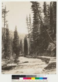 Showing construction of a section of road along Clear Creek. Boise National Forest, Idaho