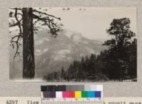 View from Redwood Mountain summit near the bowl of Bal-Rock [sic] Mountain. Metcalf. July, 1928