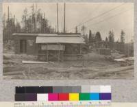 Pacific Lumber Company, Freshwater Creek, Humboldt County, California. Electric yarder (Willamette) #1. June 1923