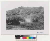 The heavy brush removed by 5 bulldozers - 2 with ripper blades were poison oak, baccharis, rhamnus sambucus and some small live oak. July 1952. Metcalf
