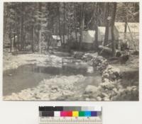 Camp Califorest. Schneider Creek. Downstream from above pump. June 22, 1936 E.F