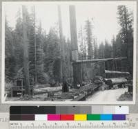 Redwood Region. Logging by L. D. Fox, contractor for Hammond Redwood Company on company property at Camp Grant near McCann, on Northwestern Pacific Railroad. The loading landing--trucks to cars. See also 7130. 7/15/42 E.F