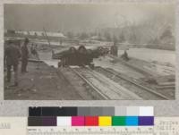 Second Growth Redwood Cutting Experiment, Project #688, Freshwater Creek, Humboldt County, California. Logs arrived at mill "A" at Scotia and on way to log deck. E. Fritz, June 1923