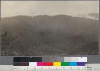 Looking over the headwaters of one of the forks (Graham Gulch) of Freshwater River near Eureka, California. Practically all the trees in sight are second growth redwood and fir. Pacific Lumber Company, Humboldt County, California. Smoke of slash burning at new Pacific Lumber camp in valley of main Freshwater. June, 1920. E.F