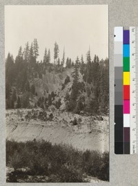 A hydraulic mine wash on Silver Lake, near Camp Califorest. The picture was taken in July, 1926 and shows the vegetation that has occupied the cut and the alluvial fan since the abandonment of hydraulics about 25 years before. The species on the fan include all five of the region, with yellow pine predominating. All are stunted, and judging from one tree pulled up, have very wide reaching and shallow fibrous root system. Compare size of trees with man in the center foreground. 1926