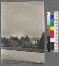 A view of the Campanile, Charter Day, March 23, 1918, with service flag flying beneath the clock. Picture taken from road in front of Agriculture Hall