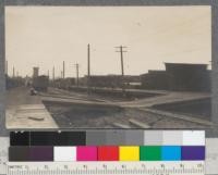 Lumber Yard of Canadian Western Lumber Company. Fraser Mills. B.C. December 1912