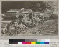 On Gualala River. Railroad track of American Redwood Company. Cross ties made of second growth redwood from trees over 40 years old. Intended for repairs in track and not for shipment. Very poorly made. Several thousand made here in 1921. 6-5-22, E.F
