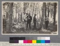 A. Hall, H. Hansen, M. C. Warren, and F. Aylward making a study of a forest stand in the Del Monte Forest, Fall 1916