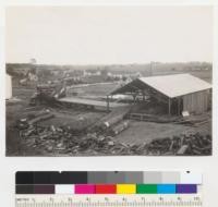 Redwood Region. A Douglas fir saw mill at junction of Redwood Highway and road to Redding north of Arcata, California. Built 1941. Opposite "Big 4." Circular. 7-15-41. E. F