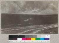 Grass fire on the William Snow Ranch in San Joaquin County. June 6, 1928. H.E.M