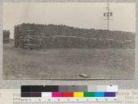 Second growth redwood cordwood in yard of Duprey Tannery near Eureka. Note proportion of sapwood. This wood was cut by a rancher in a land clearing operation. The tannery considers it good only because it is cheap; $3.50 at yard per cord. June 1923, E.F