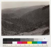 Redwood Region. Looking down into eastern end of main Big River from road to Williams Ranch from about Sec.22, T17N, R14W. 6-20-42, E.F