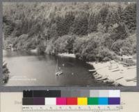 Russian River at Guerneville, showing second-growth Redwood on beach. 5/31/22. Lark & Warne, Foto. 406