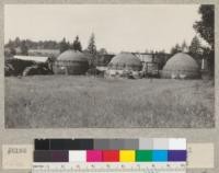 Charcoal kilns of Redwood Valley Charcoal Company near Calpella, California. 8 mi. north of Ukiah. 3 kilns, capacity 48 cords, 20' diameter. Redwood Charcoal Company. Oak, manzanita, madrone etc. 18-21 days to burn. E. F. May 1932