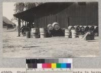 Storage of petroleum products in barrels adjacent to farm buildings constitutes an important fire hazard. This view near Chico, Butte County