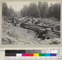 Cutting of right of way of new railroad of Dolbeer & Carson Lumber Company in north fork of Elk River, Humboldt County, California. Cut is through 50-year old redwood and Douglas fir second growth. Piling in foreground is 10-14" at top, and 24" to 30" at the butts and 50' long. May 31, 1934. E. F