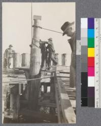 Pulling a concrete encased test pile at dock of Shell Oil Company. Martinez, California. Nov. 27, 1920. E.F