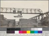 Traveling crane for handling lumber from sorting table to storage piles and from piles to yard cars running to loading wharves. Union Lumber Company, Fort Bragg, California. May, 1920. E. F