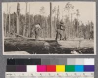 Bark peelers at work on redwood logs at Luffenholtz Creek, Hammond Lumber Company. One man rings, two men peel. Rings made 8-10 ft. apart. Bark peels most easily in the spring. Peeling is done because bark gums up saws in bucking. Note: The negative to this was borrowed by MacMillan and lost