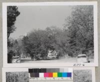 At Idyllwild, California in the San Jacinto Mountains. Tahquitz rock at left and Tahquitz Peak form main intersection near Idyllwild Inn