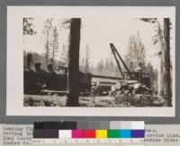 Loading flat cars with McGiffert Jammer near Delleker. Putting the top log or binder on first car. Note crotch line. Shay locomotive with home-made spark arrester. Feather River Lumber Company