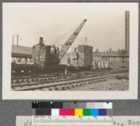 Red River Lumber Company, Westwood, California. Moving packages of lumber from sorting chain to flat car for transportation to yard. Package has just been dropped into place