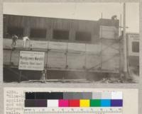 Montgomery Ward Store. Eureka, California. "Slow-burning" construction. Siding being applied. Siding painted with priming coat-face and edges before being nailed in place. Carpenters paint the ends while laying it on walls. This is done to protect the redwood signing against staining. Compare with #4032-4035. 1928 E. F