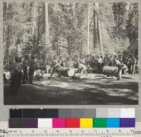 Camp Califorest. Field day. Sawing contest. 7-8-39. E.F