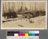 The dinner sleigh. The dinner is put in cans and placed in the box fastened to the sled. The cookee [sic] takes it out to the woods and places everything on the table in the dinner shed shown in the background. Each man picks up a knife, fork, spoon, plate and tin basin and passes by the table helping himself in cafeteria style. If something especially good was brought out, it paid to be somewhere near the head of the line