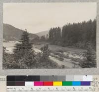 A series of 8 views (#4636-4643) of tops of trees of Dyerville Flat, Redwood Highway. Taken from high bank above road at north end of new bridge over South Fork Eel River near its mouth. E. F. July 17, 1932