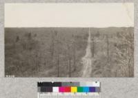 View east along 16' fire line on Houghton Lake Forest, Michigan. Left, burned over by fire of Apr. 25, 24. Right, unburned. Dry grass, moss and broken trees a fire menace in spring fire season. Lantern Slide Made