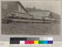 Second Growth Redwood Cutting Experiment, Project #688, Freshwater Creek, Humboldt County, California. Logs loaded on cars by "parbuckling". At Eddyville. E. Fritz, June 1923