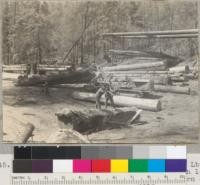 Peeling redwood at the landing. Caspar Lumber Company, Camp 20. Showing loading boom with log, tractor and arch arriving with fresh turn of logs; peelers at work. 8/20/40. E.F