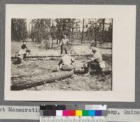 Forest Mensuration Practice. Summer Camp, Quincy, 1915 Growth Studies