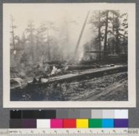 Loading cars at the landing, Sierra Nevada wood and Lumber Company sale, Tahoe National Forest