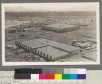 Red River Lumber Company, Westwood, California. 1- Log pond in part. 2- Fire break in drying yard. 3- Dry shed #3; rough lumber and overflow from #1 300' x 300'; capactiy 10M feet. 4- Dry kilns. 5- Additional sorting chain for yard lumber being built here, 1919