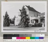 Two beautiful blue spruce, Picea pungens, on street in Napa