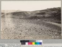 Tehachapi Flood Area. September 1932. View across cloudburst area with road at right and highly developed erosion pavement in foreground. Metcalf stands on roadway. Lowdermilk