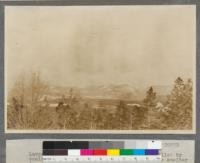 View from top of Big Hole lookout tower. Large Douglas fir tree at left of picture killed by smelter fumes. The tower is 18 miles from the smelter in an air line. Other dead and dying fir show in the picture. The trees with abundant foliage are lodgepole