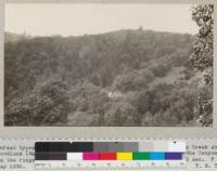 Forest types in Santa Cruz County. Looking into head of Bean Creek showing woodland (Madrone, black oak, live oak, tan oak) Redwoods in the Canyon and brush on the ridge. The highway shows in the lower center. Time 3 sec. F 16. May 1930. T.M. Tyrrell