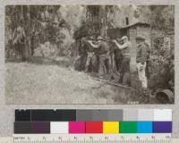 Shooting contest at Forestry Club Field Day, Siesta Valley, April, 1925. Left to right, Everts, Wood, Bower, Graham, Robinson, Ahlf, Hansen and Fritz. Best target was made by Waldo Wood